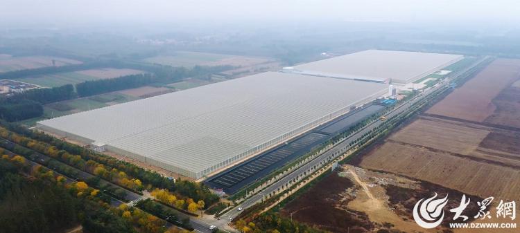 全省首个供暖用地热井“热情不减”！德州奋力铺展地热规模化利用新画卷