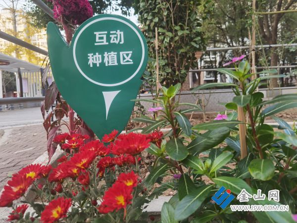 丁岗镇：“邻”聚力催开幸福“花”