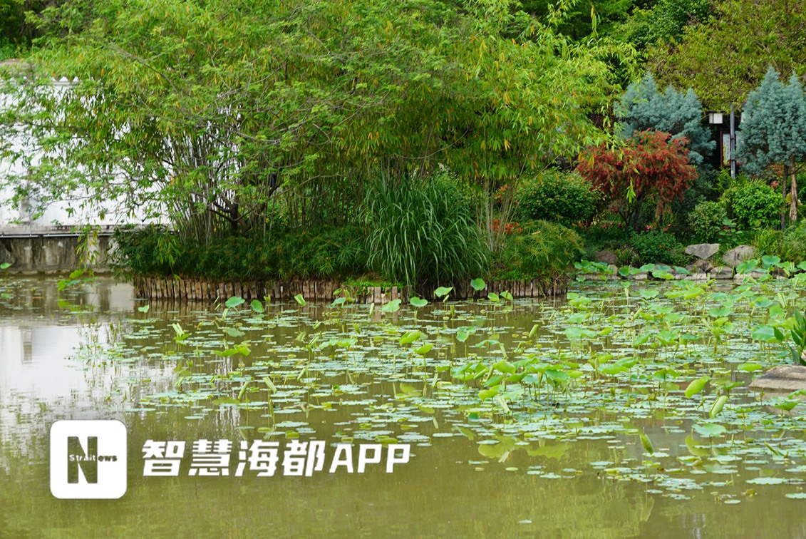福建福州强对流天气来袭,福建福州市遭遇强降雨