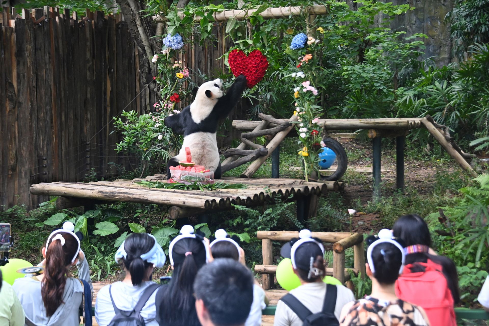 深圳2021暑假旅游推荐,2024暑期最火爆的旅游地排行