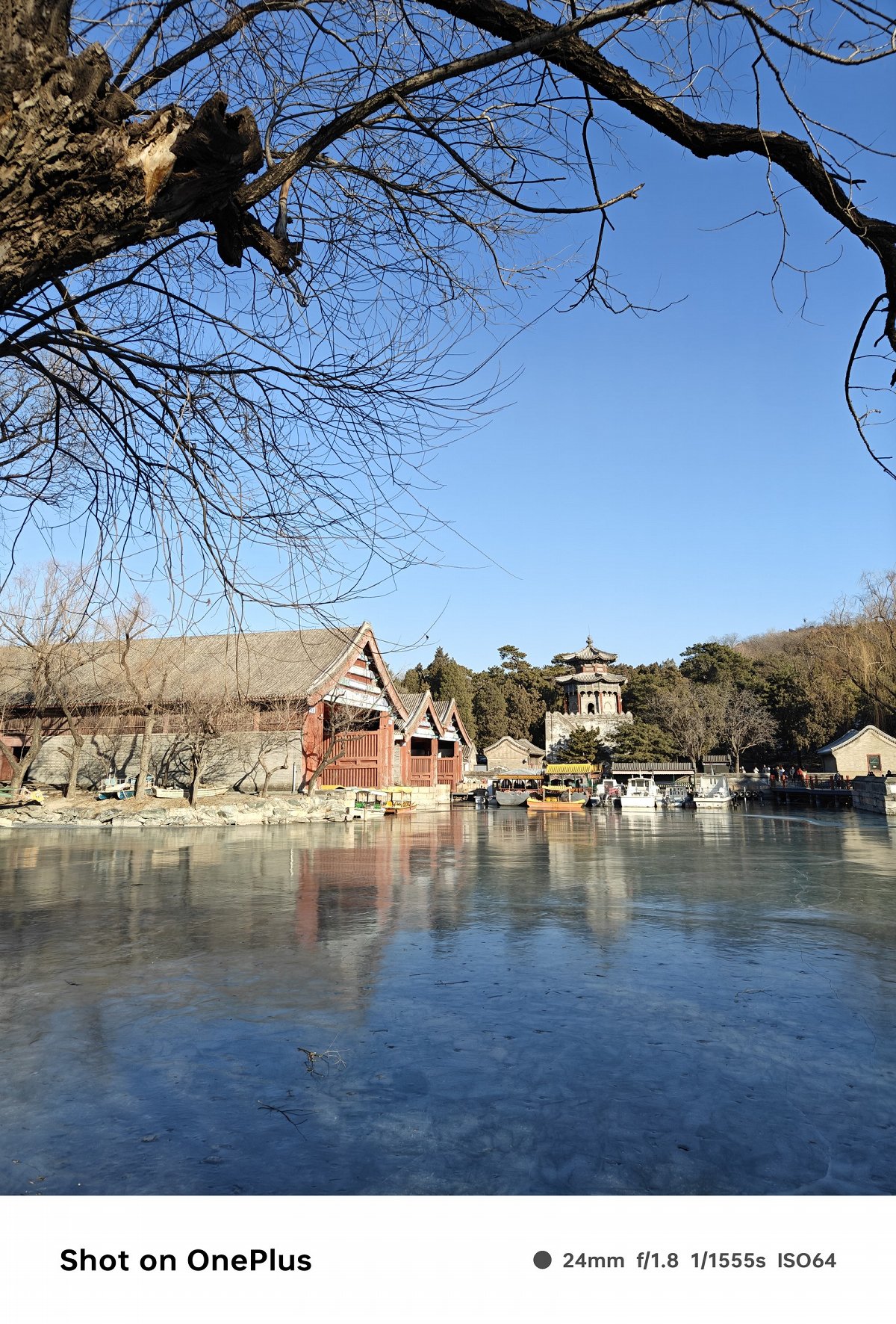 oneplus一加ace3,一加ace3