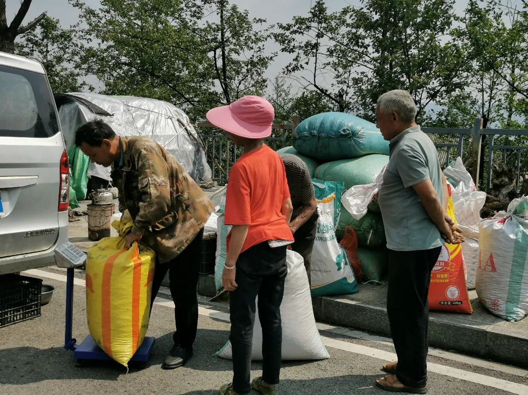 大理三月街药材,大理三月街药材市场