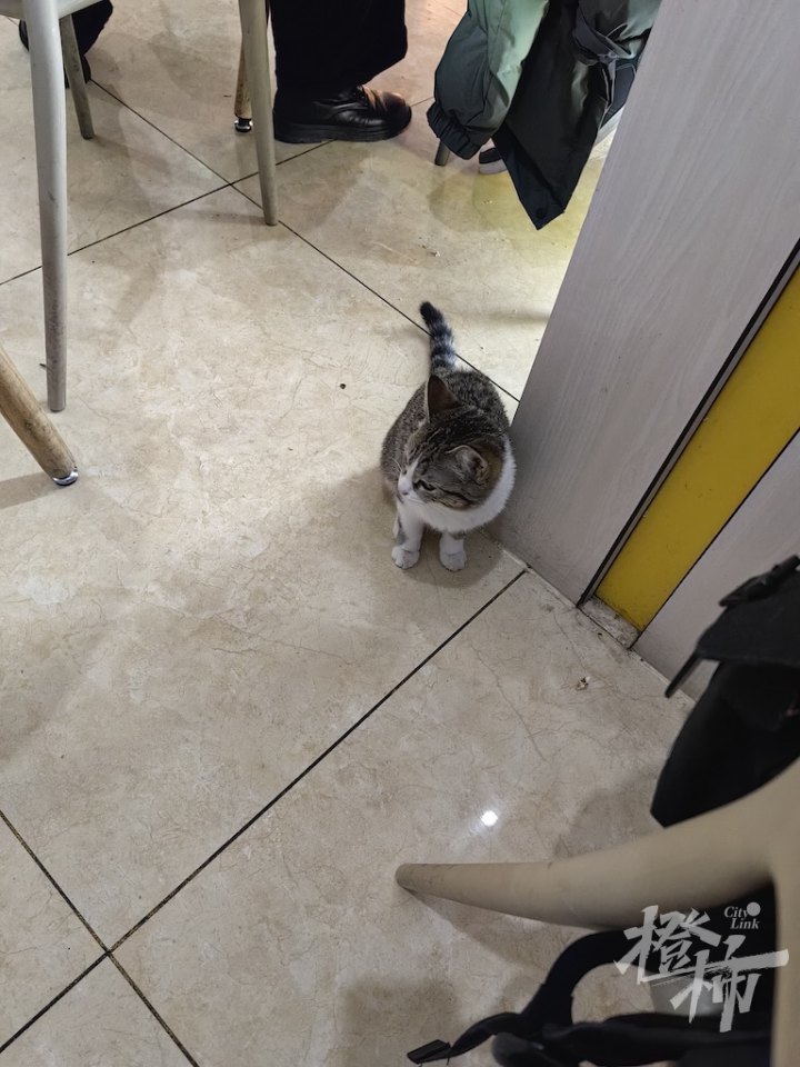 *疆新**旅游遭遇“风吹雪”！近千人在服务区打地铺过夜，上海姑娘向橙柿讲述被困沙漠腹地经历……