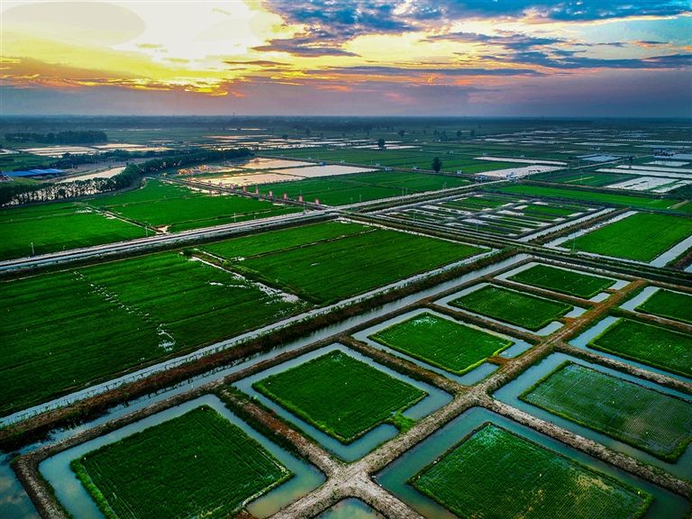 潜江虾香稻香米,潜江虾乡