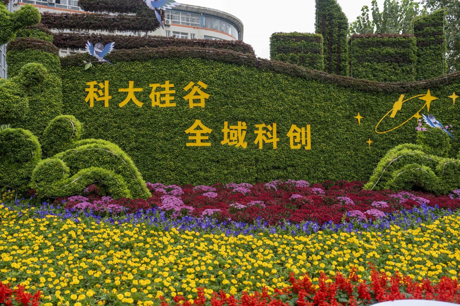 合肥花展在什么地方,合肥花展活动