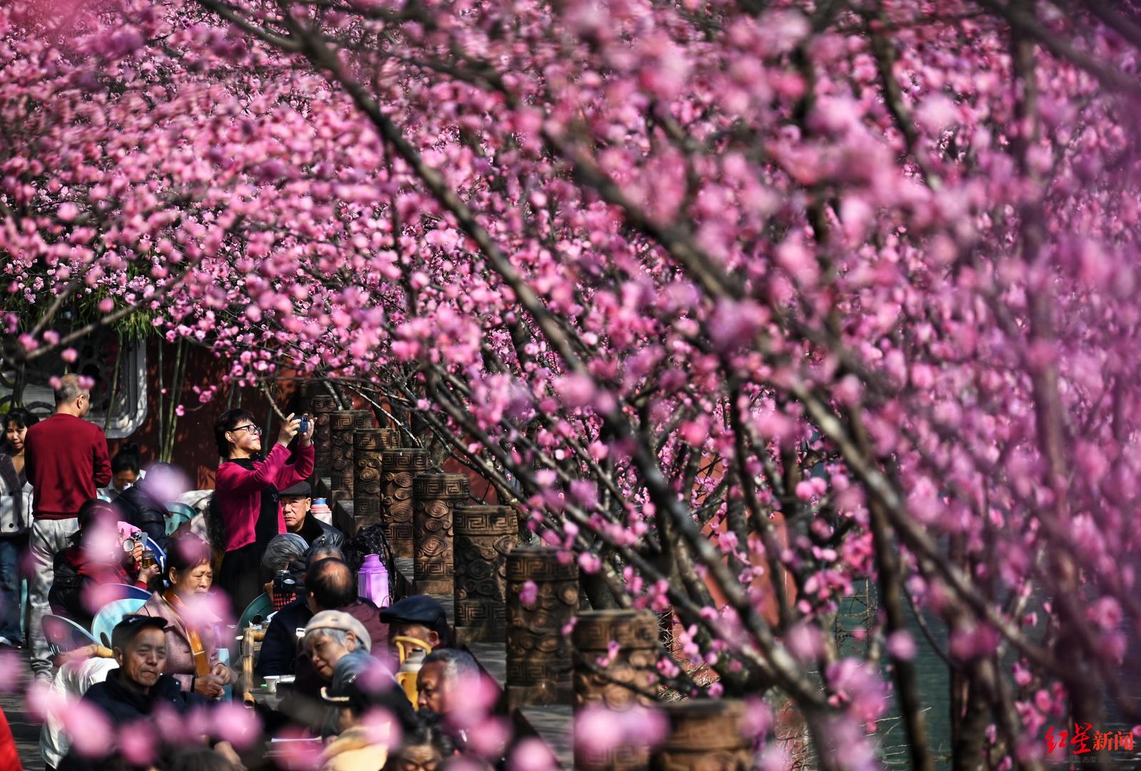 刷榜出圈！这个春节，“在成都过年”为何成为风尚？