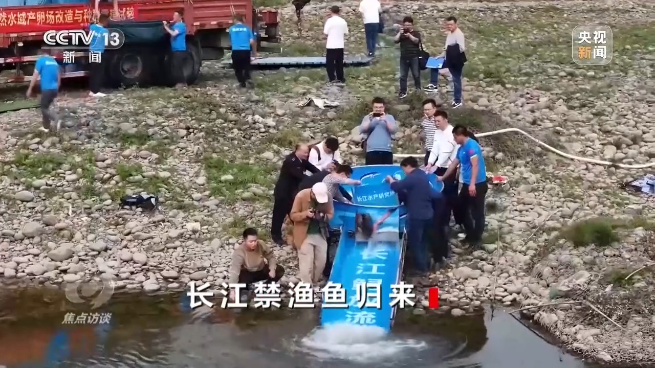 长江禁渔后鱼产卵,长江禁渔期专访