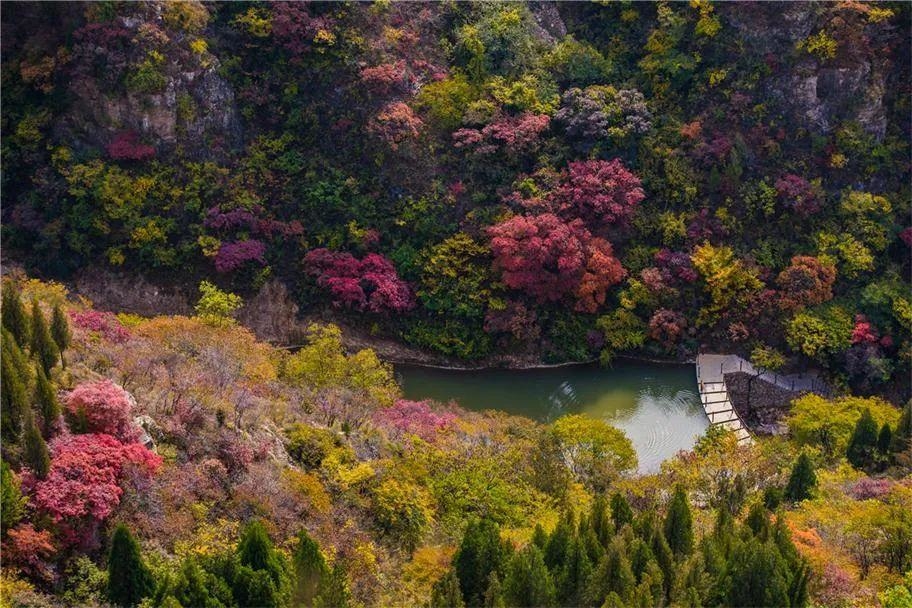 淄博潭溪山秋景,淄博看红叶最好的景点