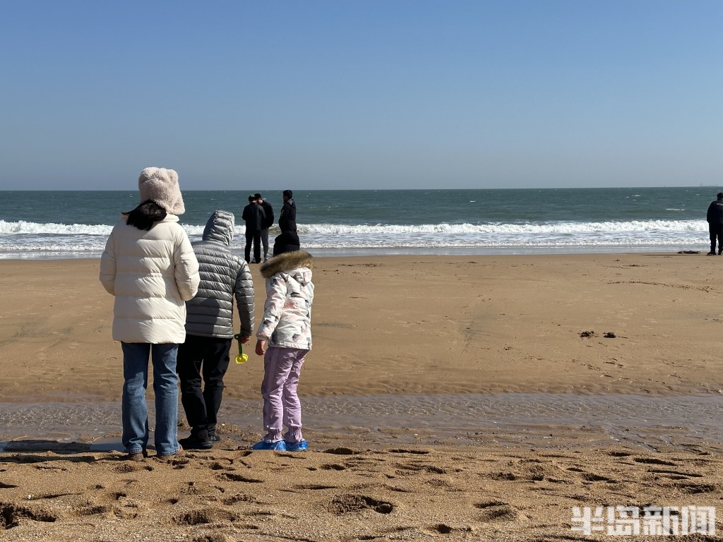 半岛调查最新视频,半岛调查