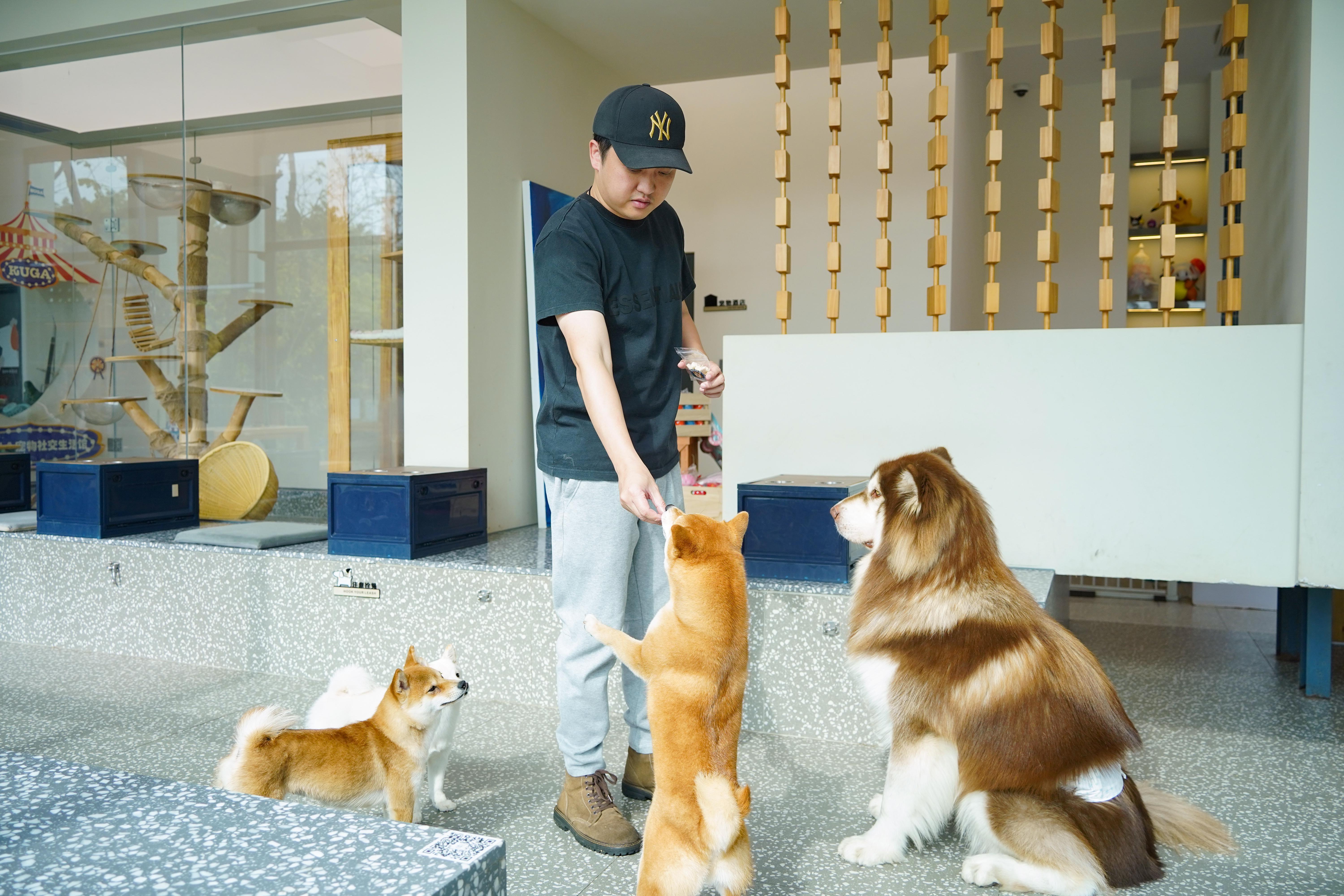 你就宠他吧谐音,你就宠他吧在线阅读