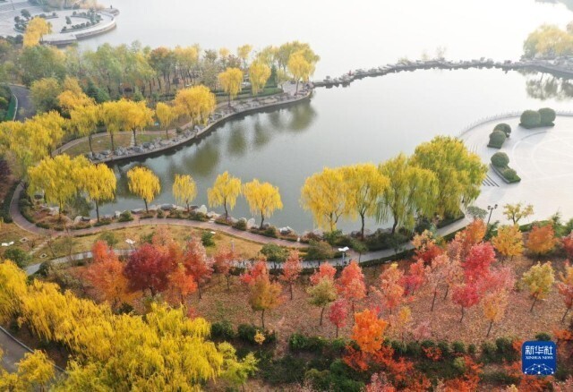 冬景迷人,冬景如画