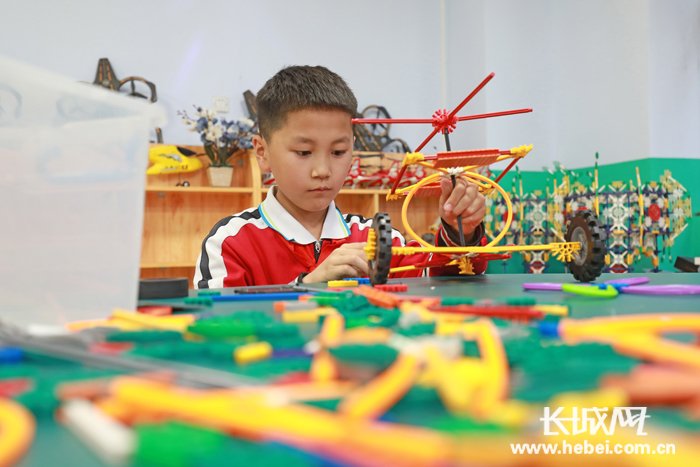 澶氬僵绀惧洟瀛︾敓蹇箰鎴愰暱,婊﹀崡鑸炶箞绀惧洟