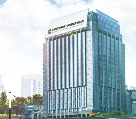 金麟企业家环幕大平层,金麟企业家精装