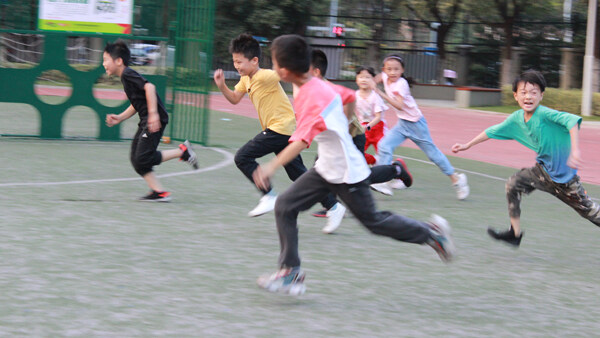 协同育人赋能成长总结,一体化课后服务