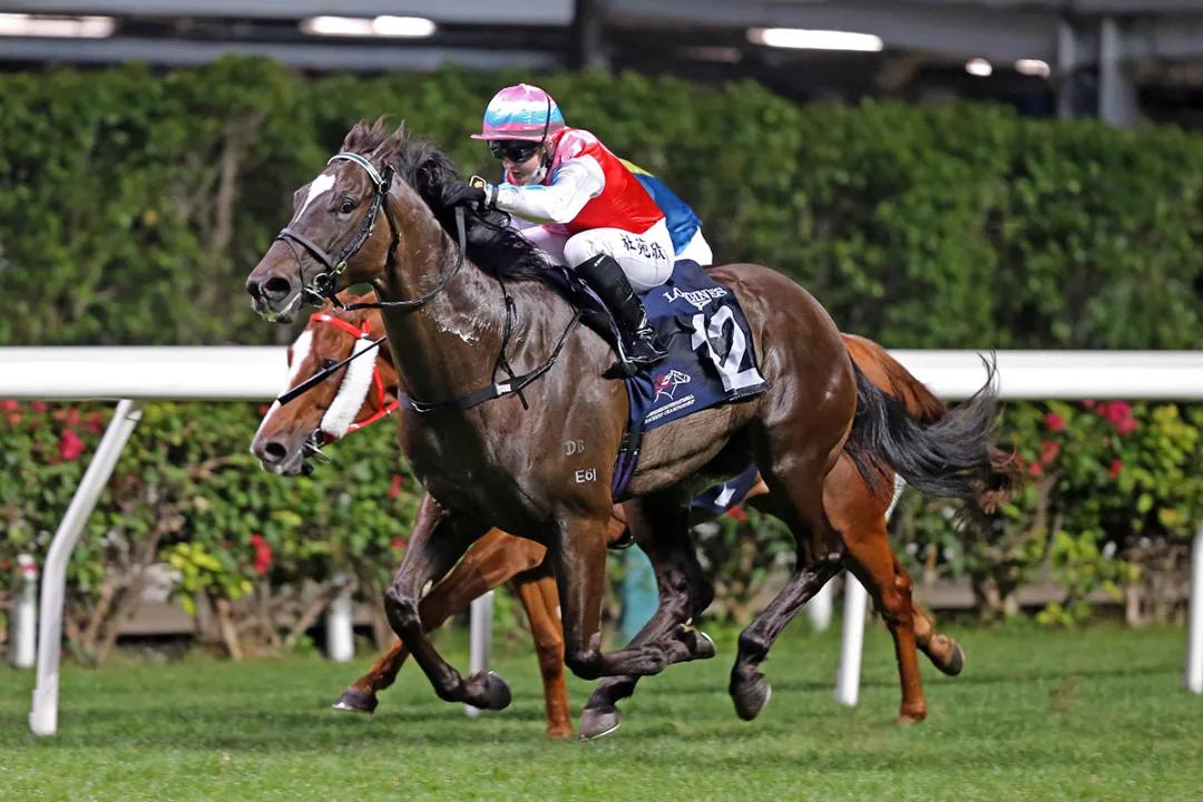 12月8日，谁将成为新一任“骑师王”？