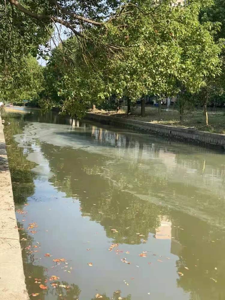 住宅小区的诡异事,居民楼怪事