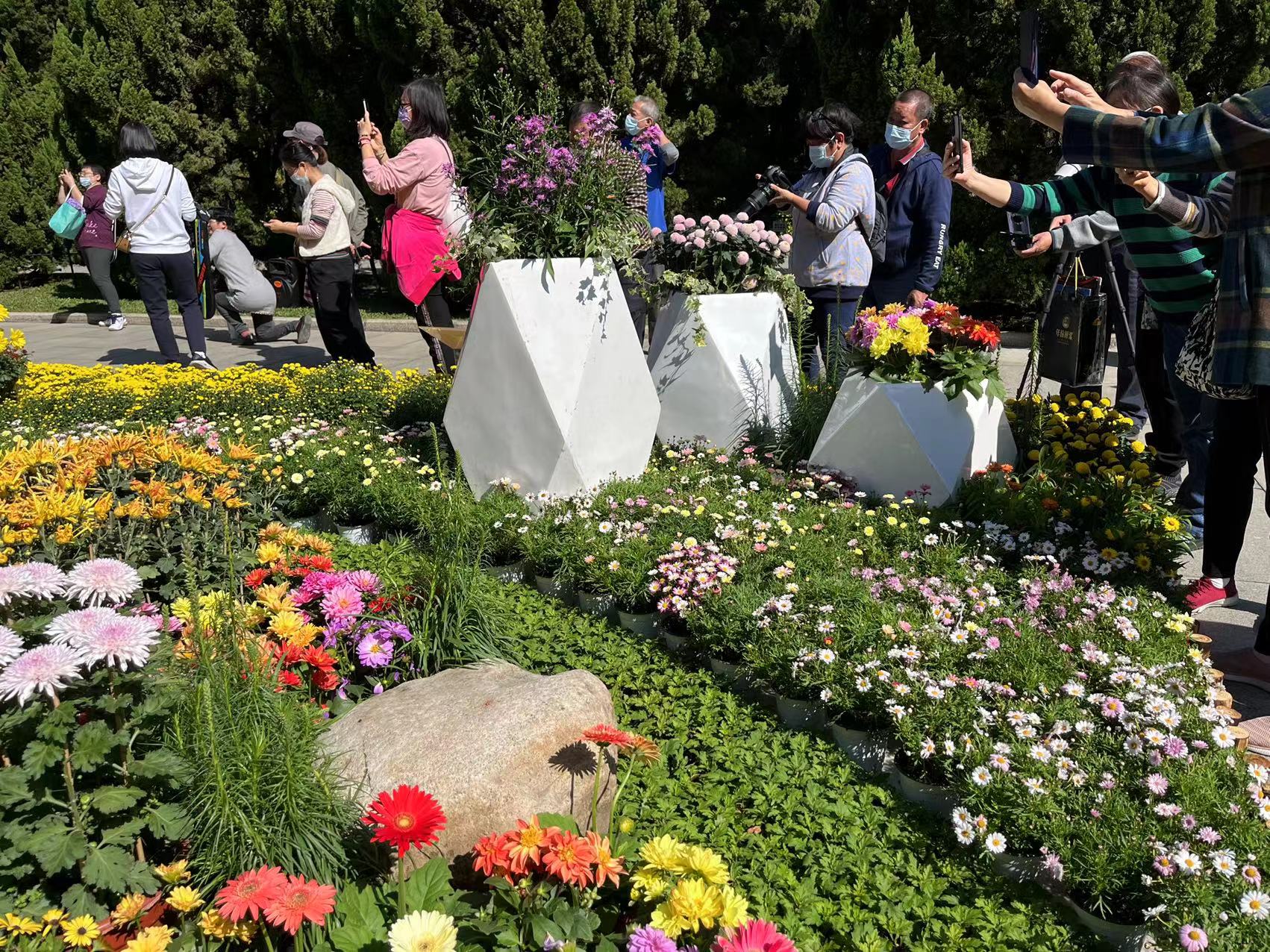 黄花岗赏菊,2023黄花岗公园菊花展时间表