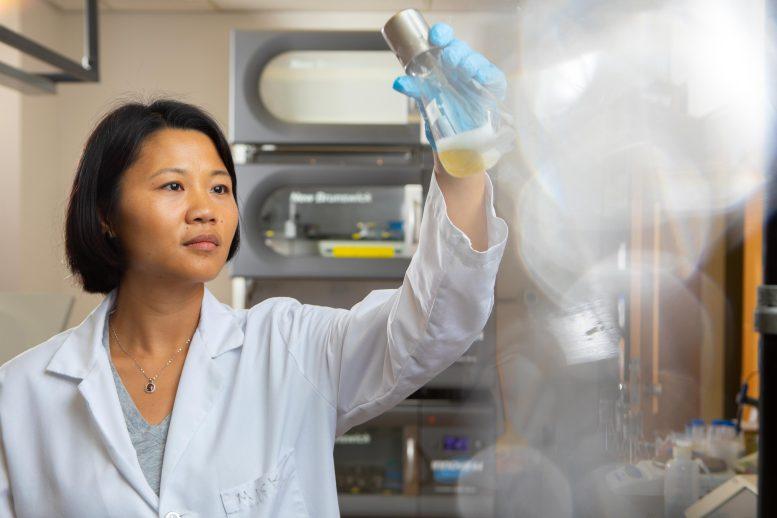 现代“炼金术”？新工艺可将糖变成汽油分子未来汽车或受益