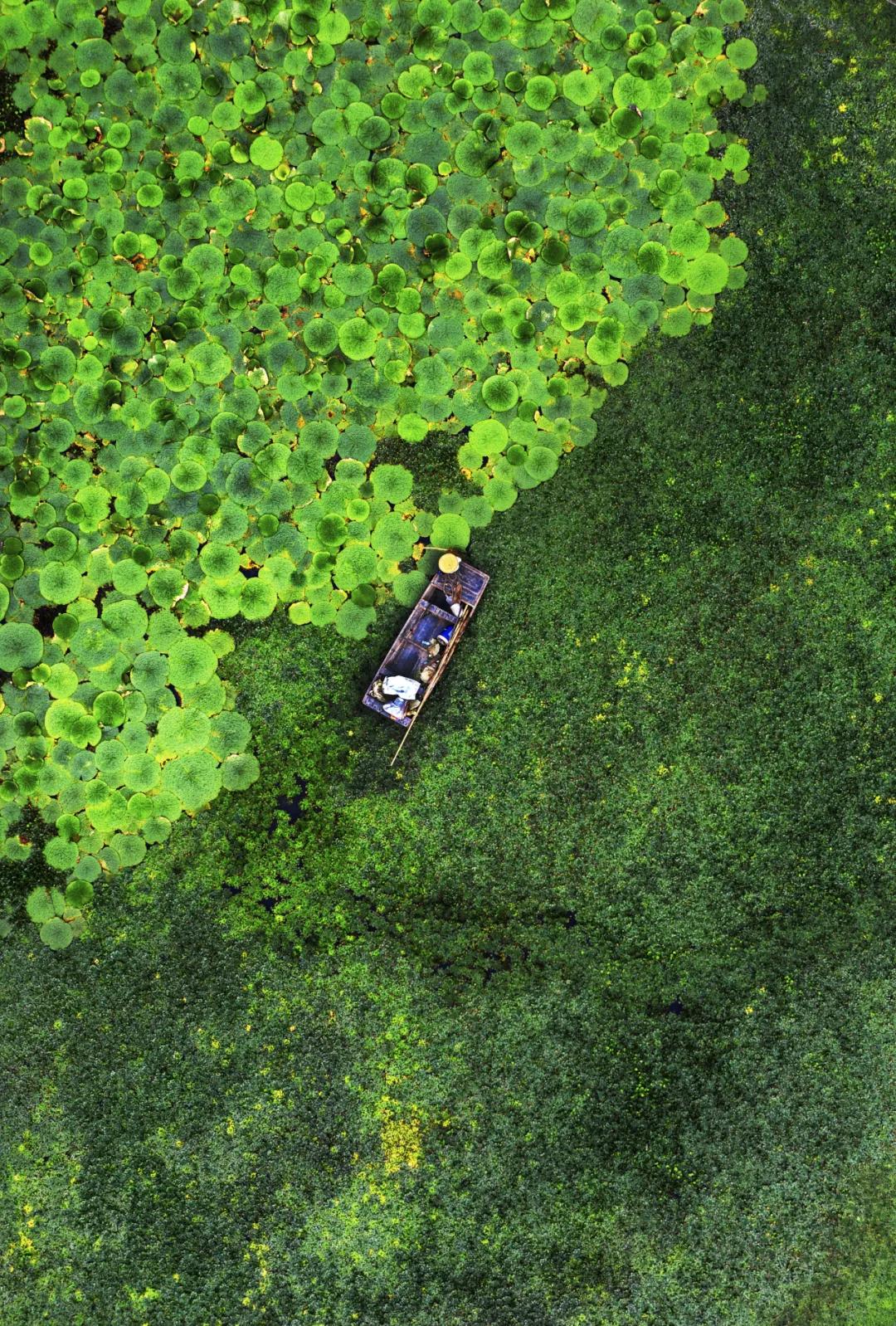 东拜孔子西上梁山,山东济宁曲阜拜孔子
