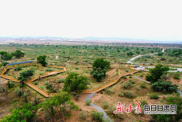 武威市人代会精神,武威党代会报告