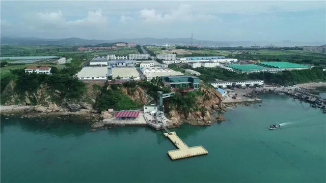 威海蓝碳科技,威海南海蓝碳