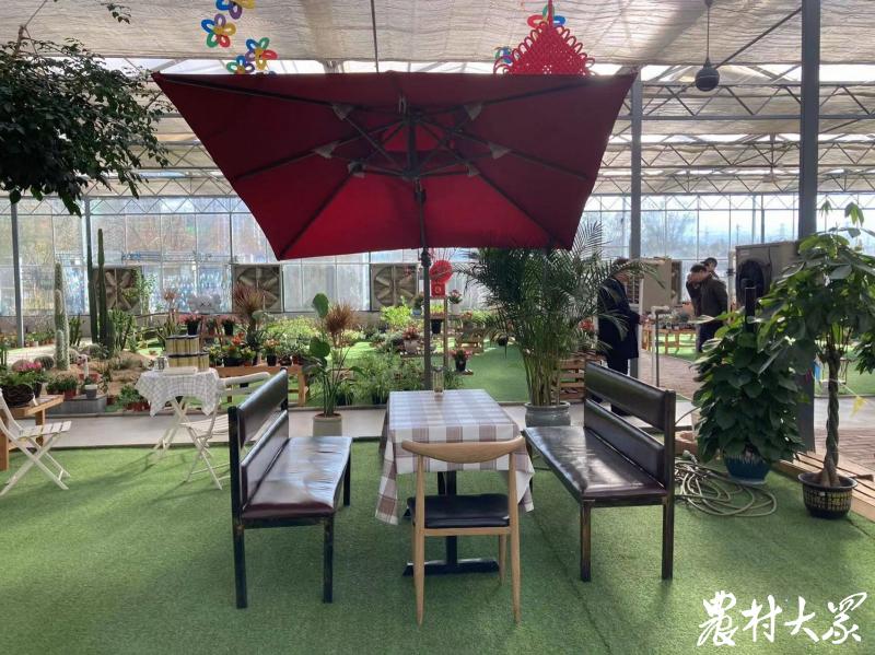 场景式展示+艺术化表达,6名大学生返乡创业打造乡村园艺馆