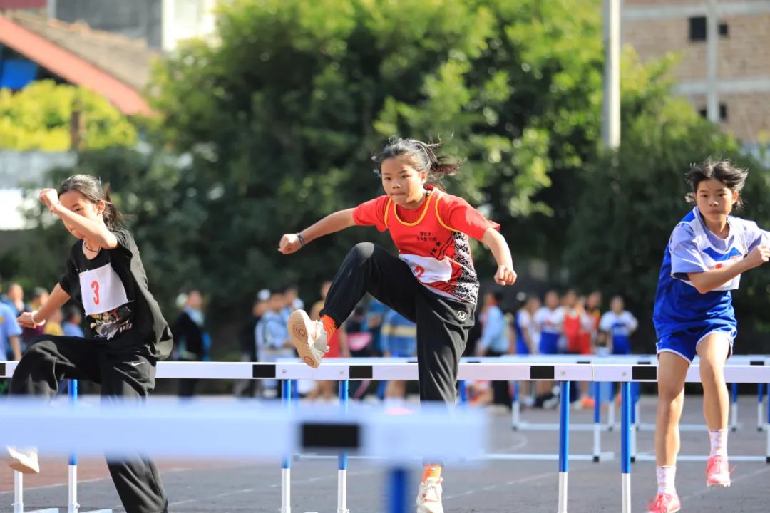 国际体育教育的发展趋势,体育国际教育