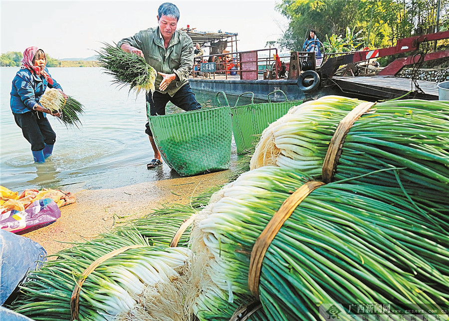 2022年7月28日焦点图,2022年11月22日焦点图