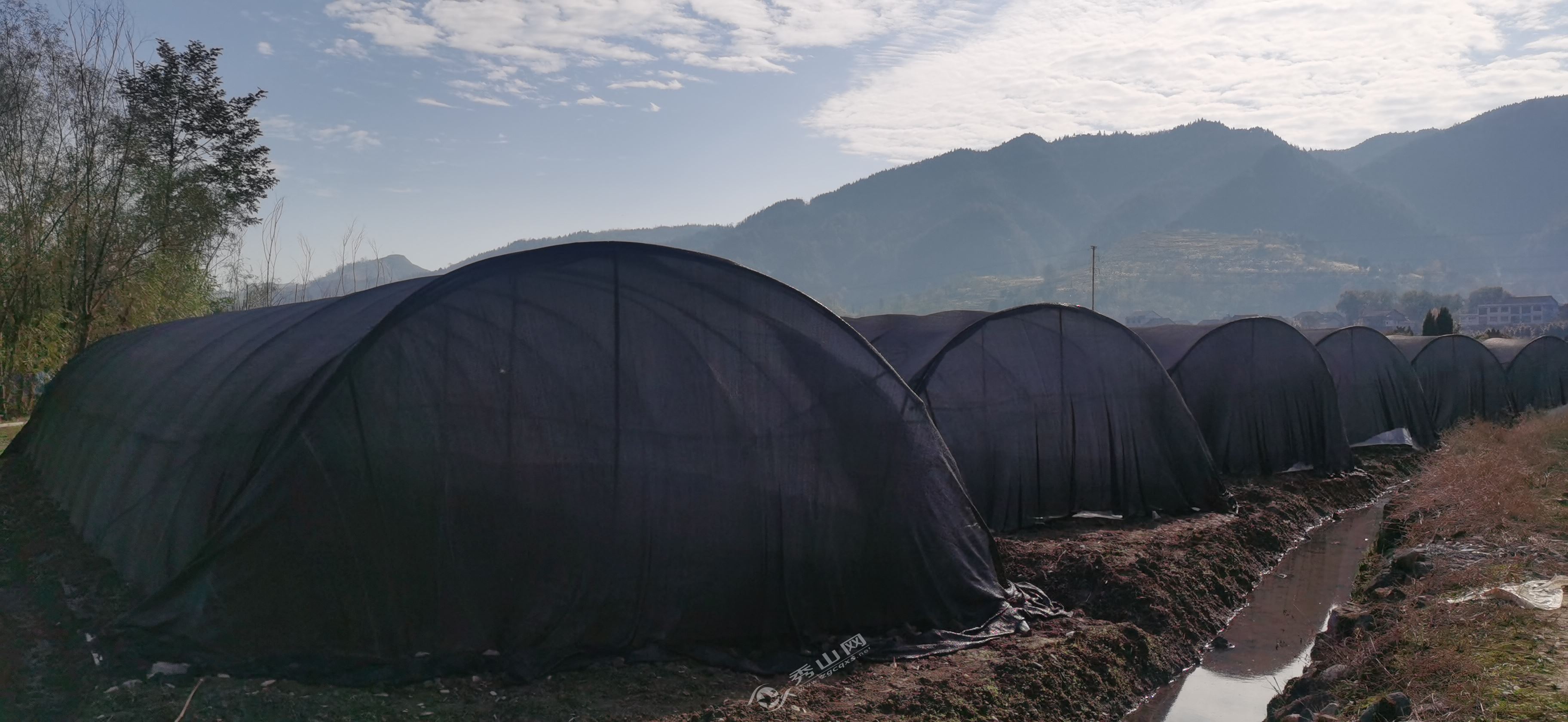 2025年巩固脱贫成果振兴乡村战略,脱贫成果巩固与乡村振兴有效衔接