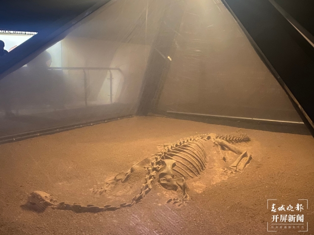 开屏广告的策划,开屏最新创意广告合集