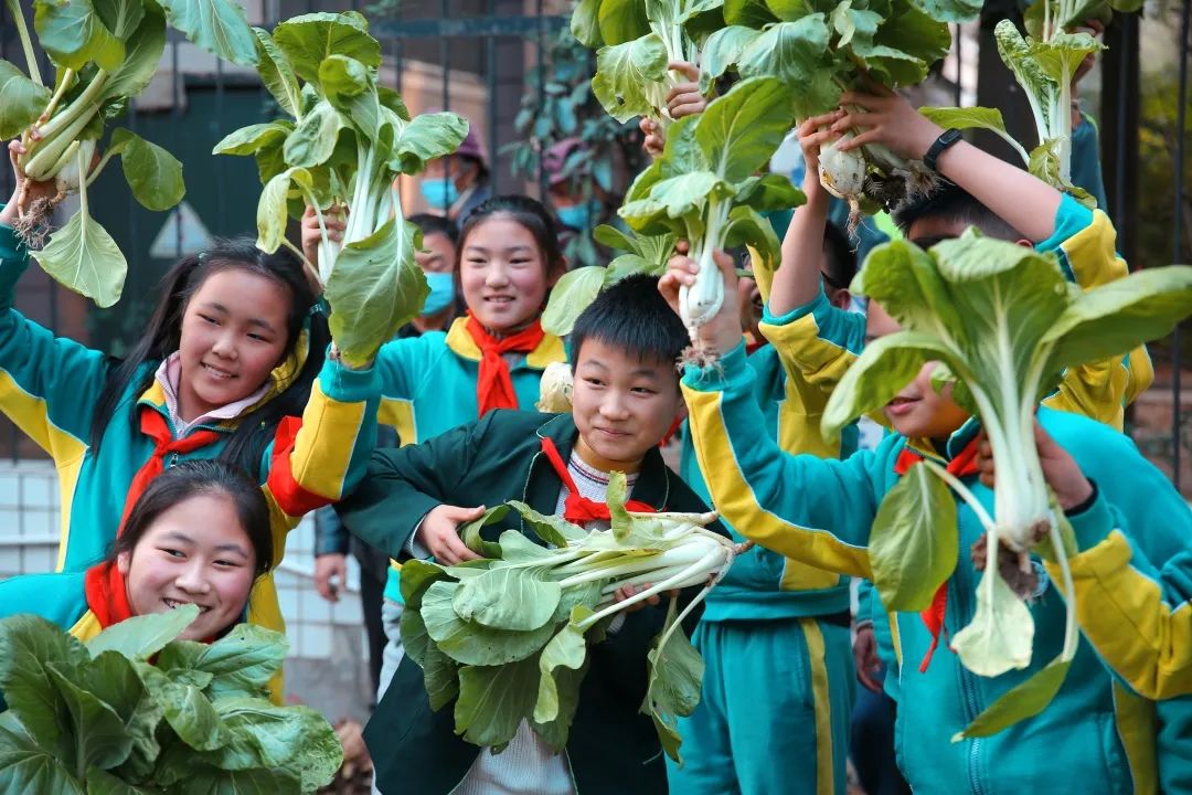 五育并举劳动创美——合肥市青年路小学2021年综合实践课程建设展示汇报