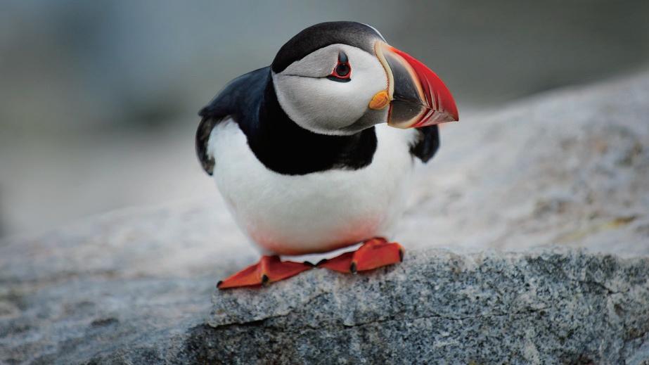 数学封面图设计,封面图怎么设计