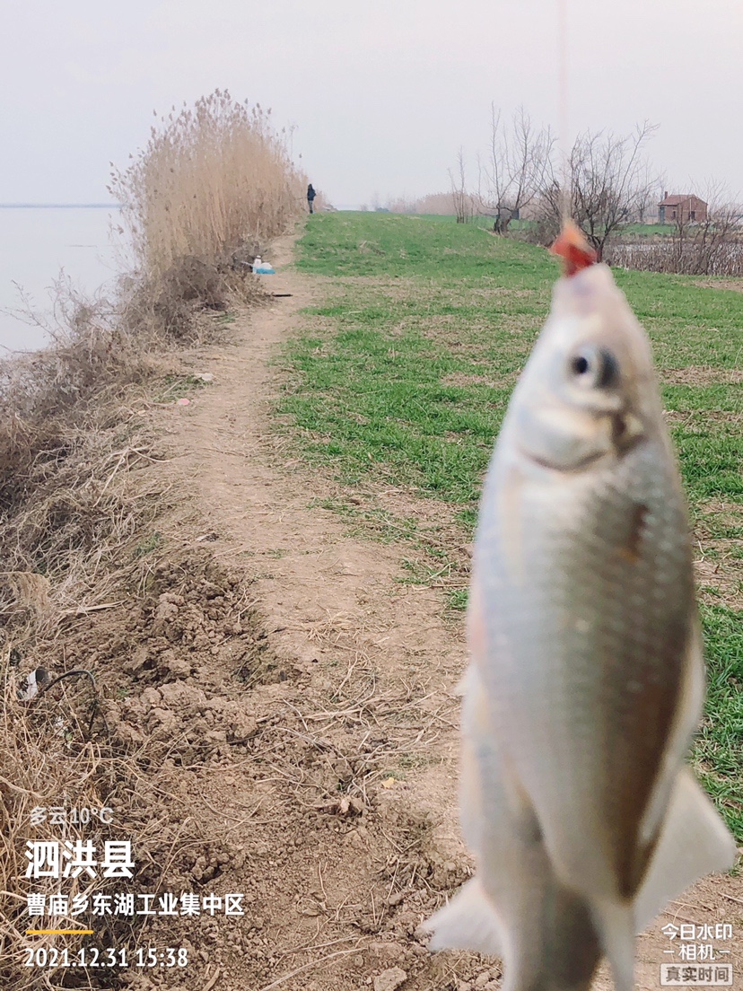 冰钓沉浸式体验,第一次体验冰钓视频