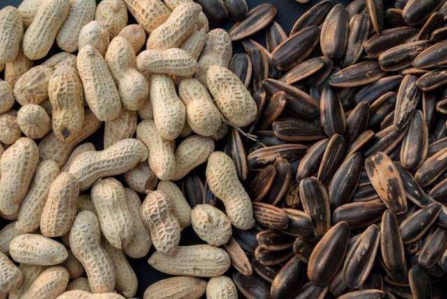 舌尖上的年味活动总结,舌尖上的春节各地新春食俗知多少