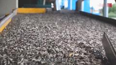 舌尖上的年货老字号,舌尖上的美食之备年货