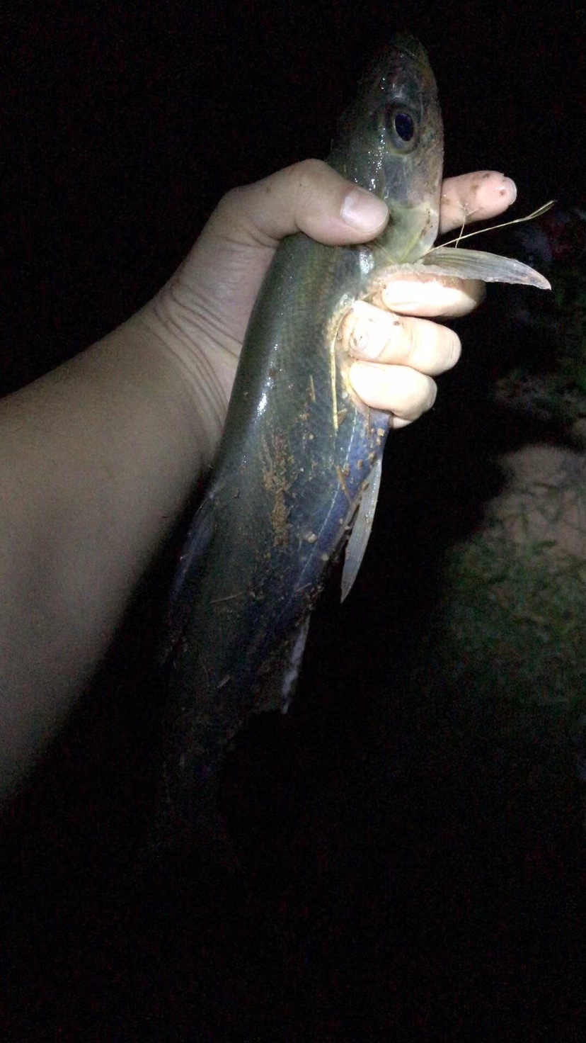 2021打龟爆护同在，未来渔你同行