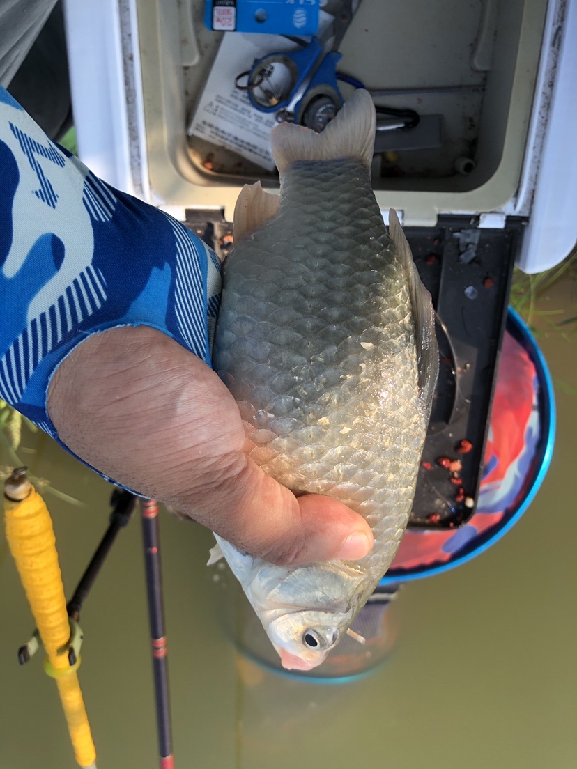 2021打龟爆护同在，未来渔你同行