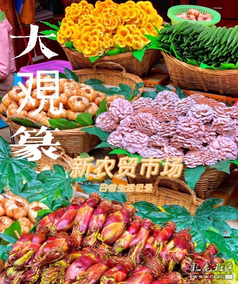过年去云南哪里最有年味,春节期间云南哪些地方年味足