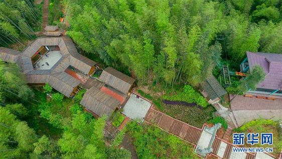 冰墩墩底座是什么树,冰墩墩上的花环是啥植物