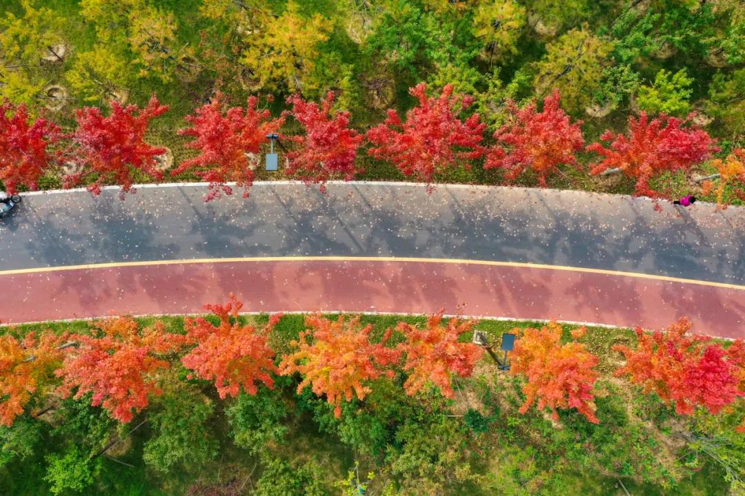 河南最新高速规划图2035兰考,开封通许重大项目规划