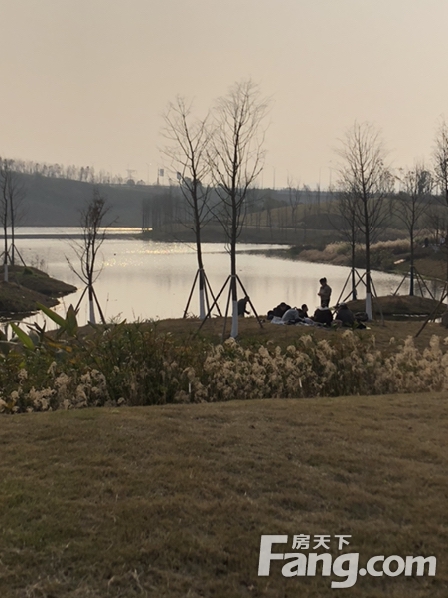 融创曾小丽,融创云鼎城最新进展