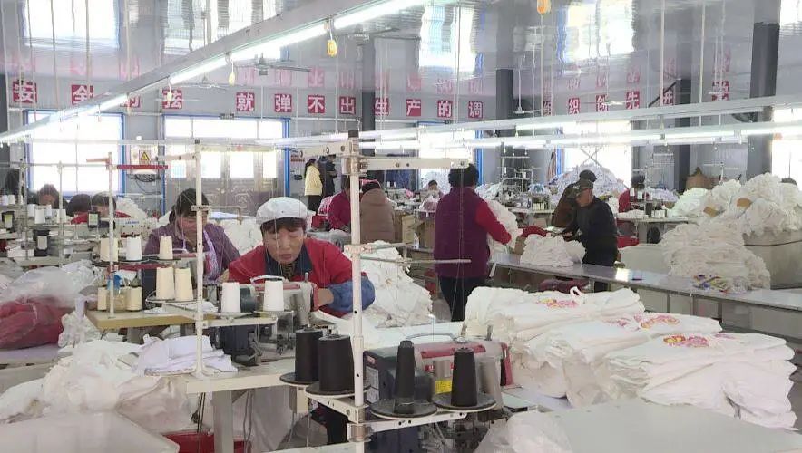 山东省烟台海阳乡村振兴示范村,海阳辛安镇村书记