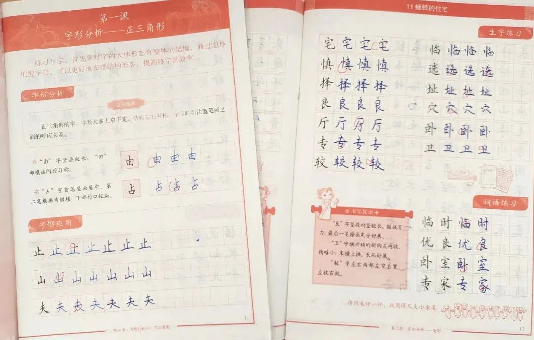 甘肃临洮第三实验小学,双减形式下小学的作业如何改革