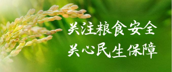 奋进新时代护航新征程,扛牢政治责任守好粮食安全