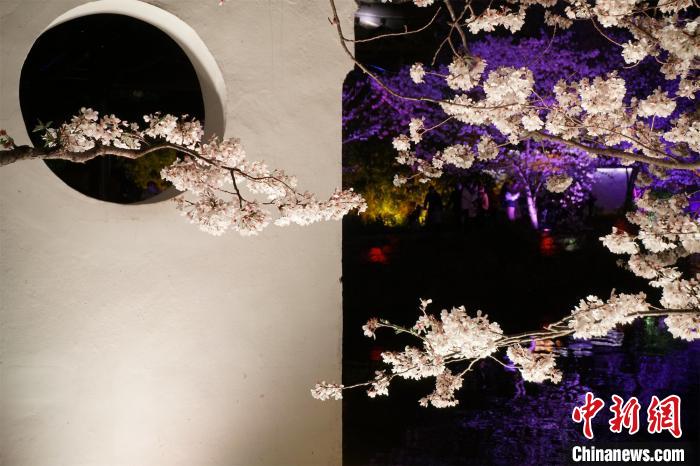 樱花的花期到底有多久,樱花的花期一共有几天