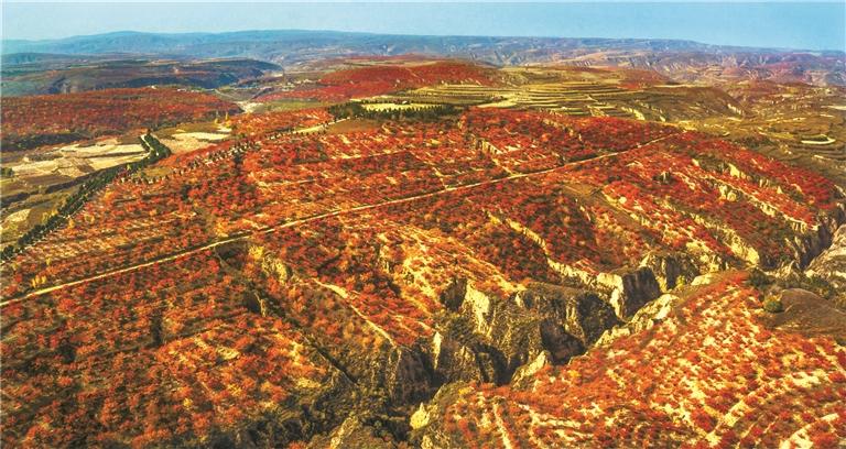 高质量发展的榆林答卷,榆林进入高质量发展新阶段