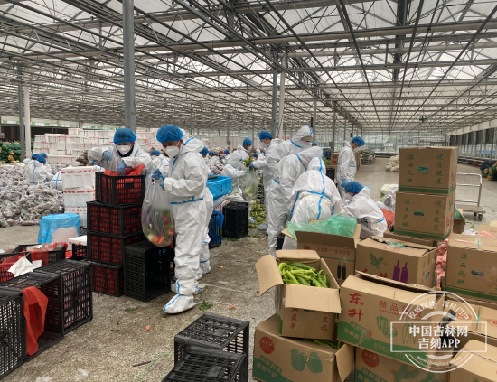 配送中心生鲜蔬菜,配送中心采访视频