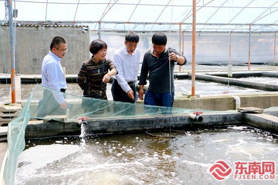 云霄农行：“惠农e贷”为乡村振兴注入新活力