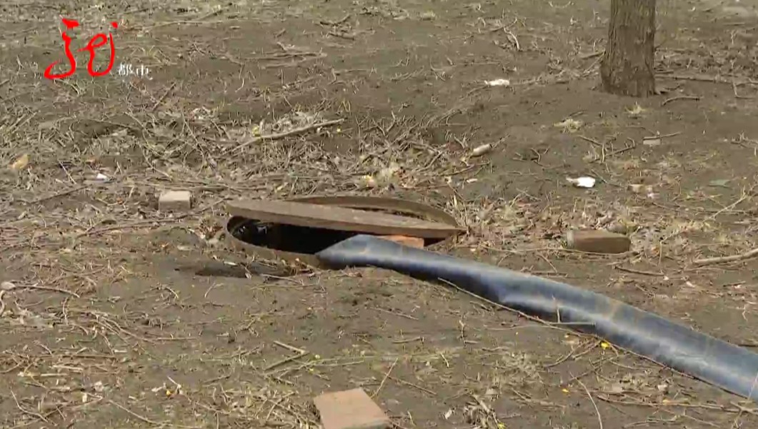 哈尔滨一小区楼道蚊子,一小区摇蚊肆虐居民防不胜防