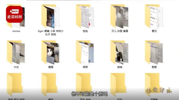 发育宝和网易严选猫粮,信元发育宝下架涉事猫粮